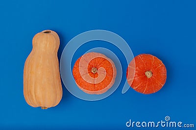 Flat lay of three pumpkins of different types on a blue background. Bright contrasting colors. Minimalism Stock Photo