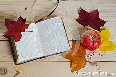 Autumn composition, open diary, colorful leaves, apple fruit in juicy colors, on a light wooden background. Stock Photo