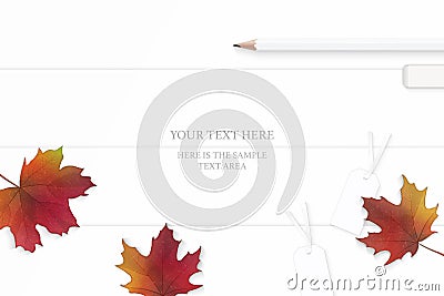 Flat lay top view elegant white composition yellow pencils eraser and autumn maple leaf on wooden floor background Vector Illustration