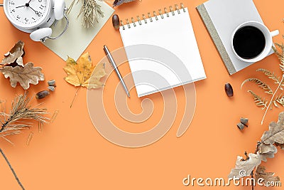 Flat lay top view feminine work office table desk workspace copy space Stock Photo