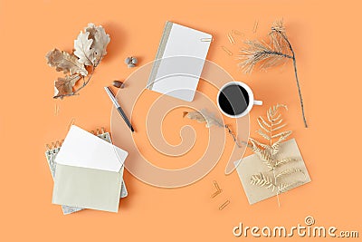 Flat lay top view feminine work office table desk workspace Stock Photo