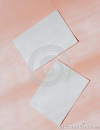 Flat lay of two blank cards sheet on aesthetic pastel pink background Stock Photo