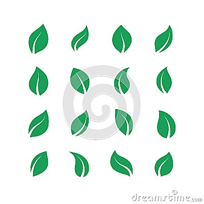 Flat leaves set. Green simple forest leaf, herbal vegan plant set, eco fresh energy labels. Vector green farm leaves Vector Illustration