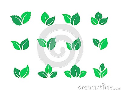 Flat leaves set. Vegan green food logos, farm plant eco energy, simple forest leaf herbal tea label. Vector set of green Vector Illustration