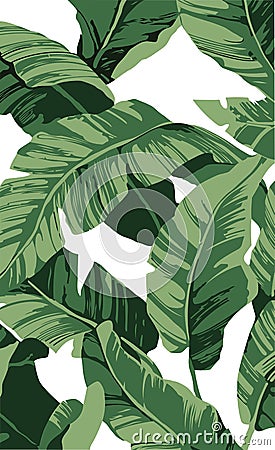 Flat line vector and illustration, pattern banana tree and leaves that it is a tropical plant on white background. Vector Illustration