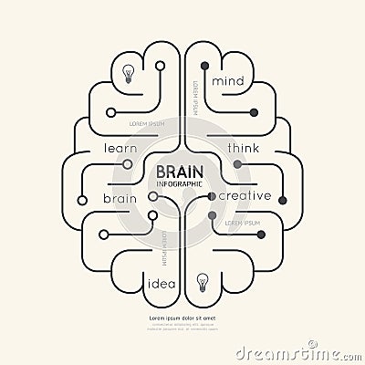 Flat linear Infographic Education Outline Brain Concept.Vector Vector Illustration