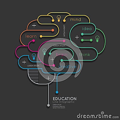 Flat linear Infographic Education Outline Brain Concept.Vector Vector Illustration