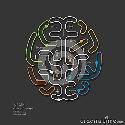 Flat linear Infographic Education Outline Brain Concept.Vector. Vector Illustration