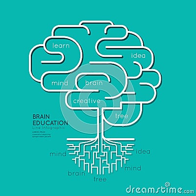 Flat linear Infographic Education Outline Brain Roots Concept. Vector Illustration