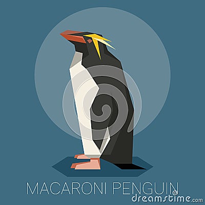 Flat Macaroni penguin Vector Illustration
