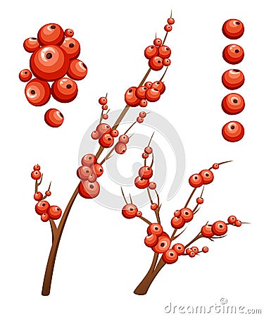 Flat mistletoe decorative. Branches with red berries. Christmas ornament without leaves. Vector illustration isolated on white bac Cartoon Illustration