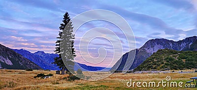 Flat mountain valley with alpine grass and conifer tree in sunset light with clouds Stock Photo