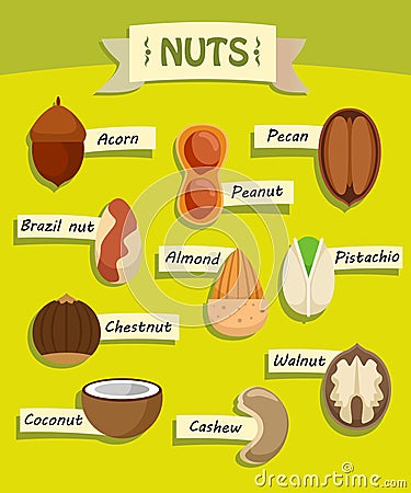 Flat Natural Nuts Elements Collection Vector Illustration