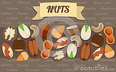 Flat Nuts Elements Collection Vector Illustration