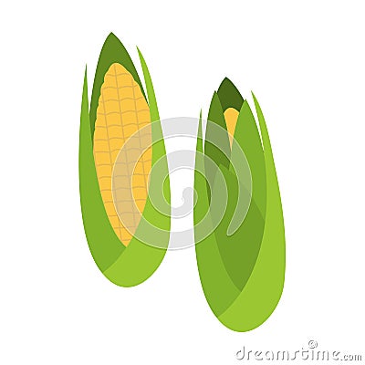 Flat organic corns isolated Stock Photo