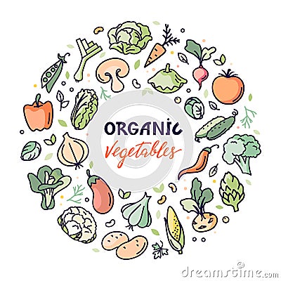 Flat organic vegetables vector illustration with a place for text or lettering. Vector Illustration