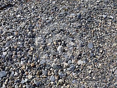 Flat pebbles, rocks, sticks, twigs and stones Stock Photo