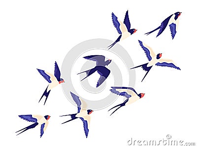 Flat small swallow bird flock flying in air. Cartoon group of barn swallows freedom flight in sky. Peaceful vector Vector Illustration