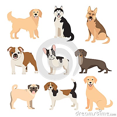 Flat style dogs collection. Cartoon dogs breeds set. Vector illustration isolated Vector Illustration