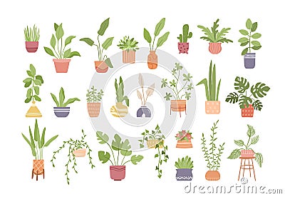 Flat style houseplants, plants in flowerpots vector bundle, isolated home potted flowers set, hand drawn illustration Vector Illustration