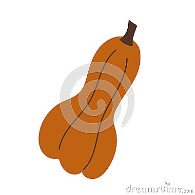 Flat Style Illustrated orange Pumpkin Fruit Icon Vector Illustration