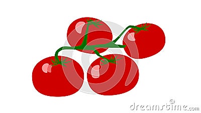 Flat tomato branch isolated on white background.Tomato icon Cartoon Illustration