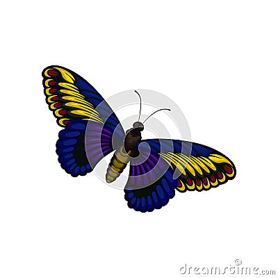 Flat vector of bright blue-yellow butterfly. Flying insect with two pairs of wings with beautiful pattern. Nature theme Vector Illustration