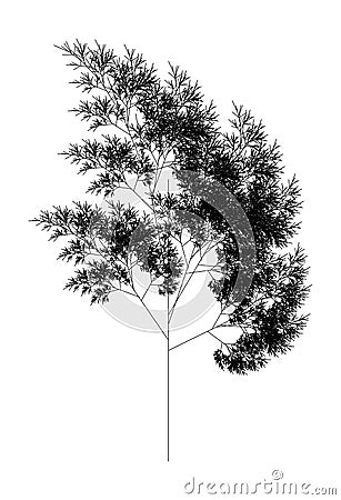 Flat Vector Computer Generated L-system Fractal Plant Generative Art Vector Illustration