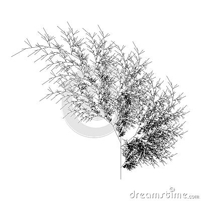Flat Vector Computer Generated L-system Fractal Plant Generative Art Vector Illustration