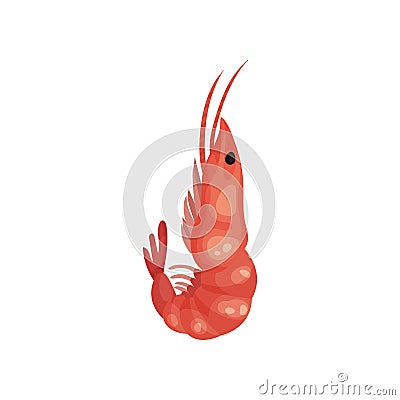 Flat vector icon of big pink shrimp. Marine product. Delicious boiled prawn. Gourmet seafood Vector Illustration