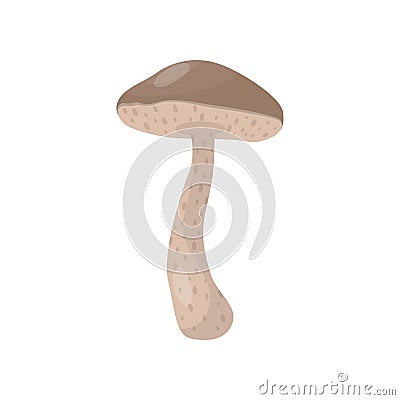Flat vector icon of brown cap boletus or leccinum mushroom. Cooking ingredient. Forest fungus. Edible natural product Vector Illustration
