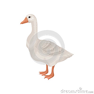 Flat vector icon of goose, side view. Large farm bird with long neck, orange beak and legs. Rural animal Vector Illustration