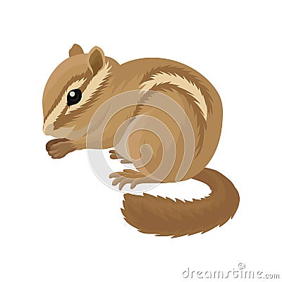 Flat vector icon of small brown chipmunk. Small mammal animal. Rodent with cheek pouches and light and dark stripes Vector Illustration