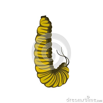 Flat vector icon of yellow caterpillar. Larva of butterfly. Insect with pair of antennae. Entomology theme Vector Illustration