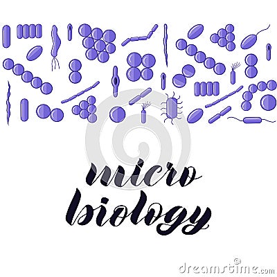 Purple bacterias. Micro biology hand lettering. Vector Illustration