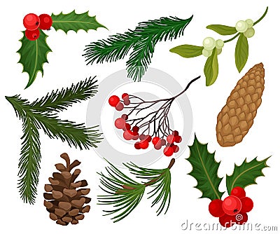 Flat vector set of Christmas plants. Holiday symbols. Holly berries, pine or fir cones, branch of mistletoe and Vector Illustration