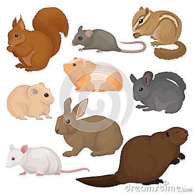 Flat vector set of various rodents. Small forest and domestic animals. Mammal creatures. Fauna and wildlife theme Vector Illustration