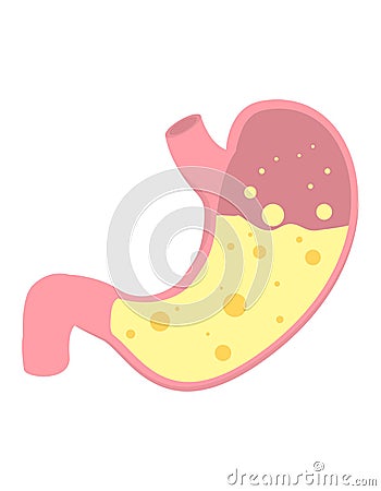 Flat vector stomach icon Vector Illustration