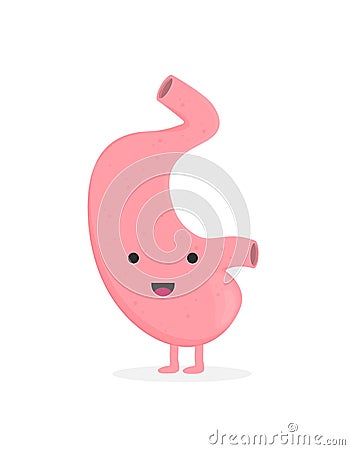 Flat vector stomach isolated on background Vector Illustration