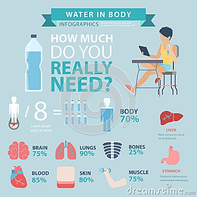 Flat vector water in body infographics health care bottle organ Vector Illustration