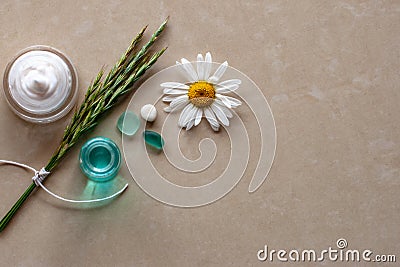 Flat view. Cream, chamomile, green spikelets and pebbles. Stock Photo