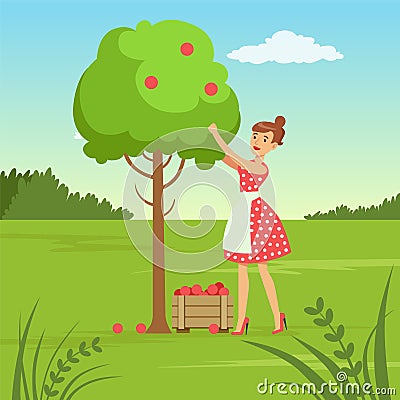 Flat woman character collecting the harvest Vector Illustration