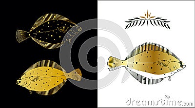 Flatfish Vector Illustration