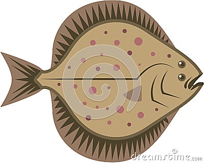 Flatfish Vector Illustration