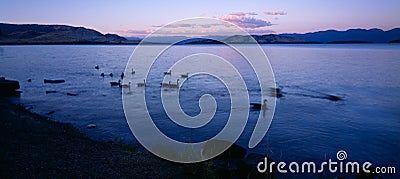 Flathead lake Stock Photo