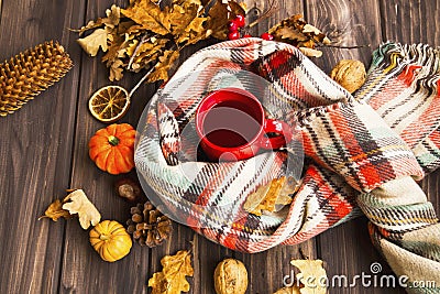 Flatlay of cozy fall setting. Scarf with tea cup and autumn decorations with pumpkins, dried leaves, pine cones Stock Photo