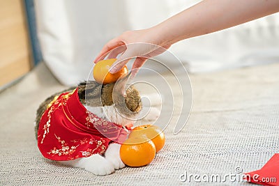 chinese new year concept with red envelope orange and gold on red background Stock Photo