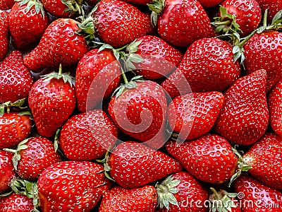 Flatlay from a large number of strawberries. Natural background Stock Photo