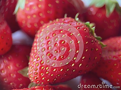 Flatlay from a large number of strawberries. Natural background Stock Photo