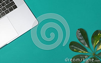 Flatlay notebook and green leaf on green blue background Stock Photo